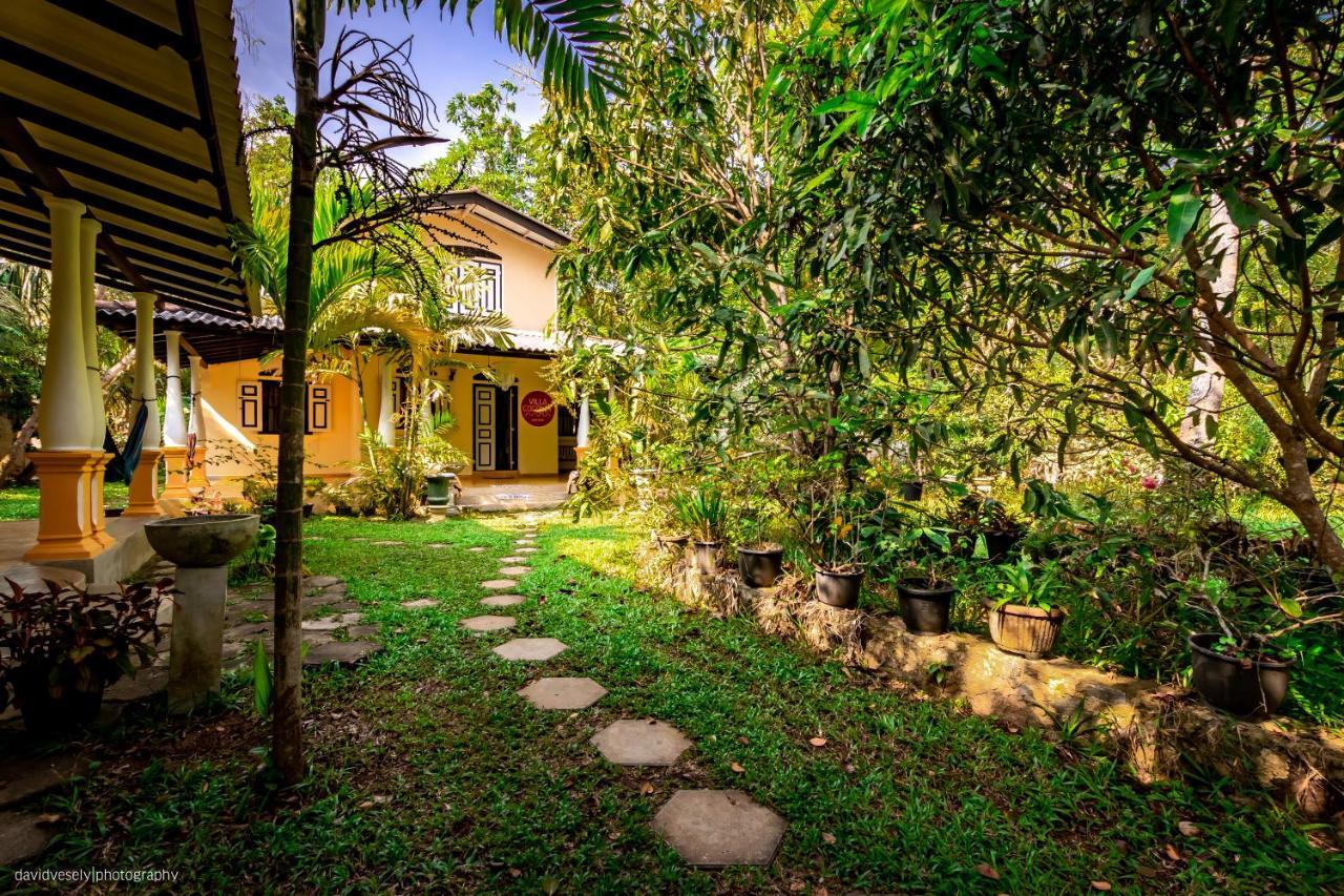 Coconut Villa Midigama Exterior photo